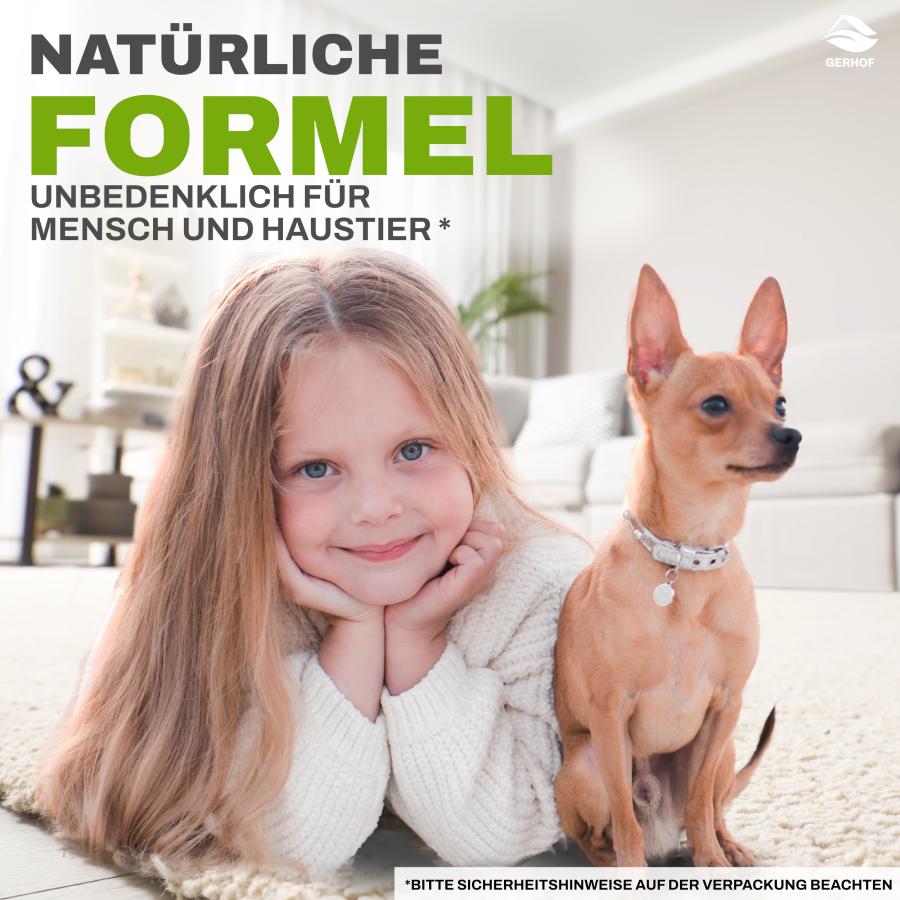 Reinex 250g, Ameisenpulver, Ameisenmittel, Ameisen Streumittel, Mittel gegen Insekten, zum Streuen und Gießen Ameisenstopp, Ameisenköder für den Innen und Außenbereich geeignet